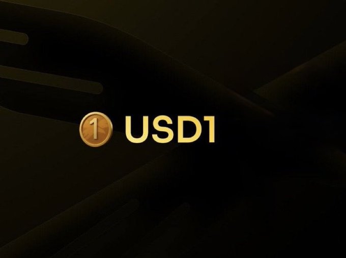 The image features a gold coin with the words "USDC" written on it, which stands out against a black background. The text "Most stablecoins fail at one thing: trust." This statement emphasizes that the USDC coin has unique characteristics compared to other stablecoins in the market. It is built differently and may not be backed by any government or financial institution, making it a speculative investment with potential risks.