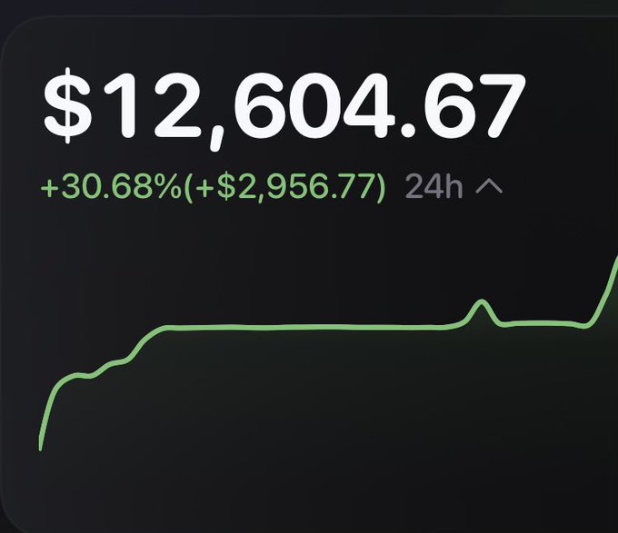 A financial dashboard displaying a value of '$12,604.67' with a 24-hour change of '+30.68% (+$2,956.77)' shown in green, accompanied by a rising line graph.