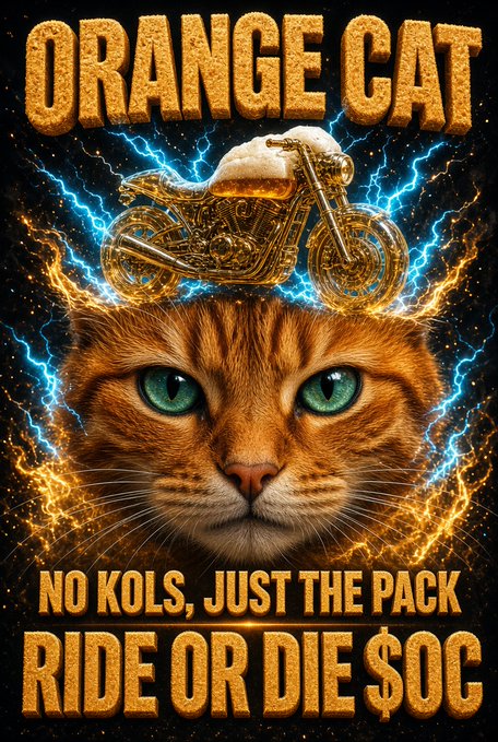 A vibrant graphic poster titled 'ORANGE CAT' featuring an orange tabby with striking blue eyes, a golden motorcycle on its head, and the tagline 'NO KOLS, JUST THE PACK RIDE OR DIE $OC'.