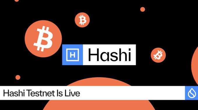 A graphic announcement that 'Hashi Testnet Is Live' featuring the Hashi logo surrounded by orange Bitcoin symbols on a black background.