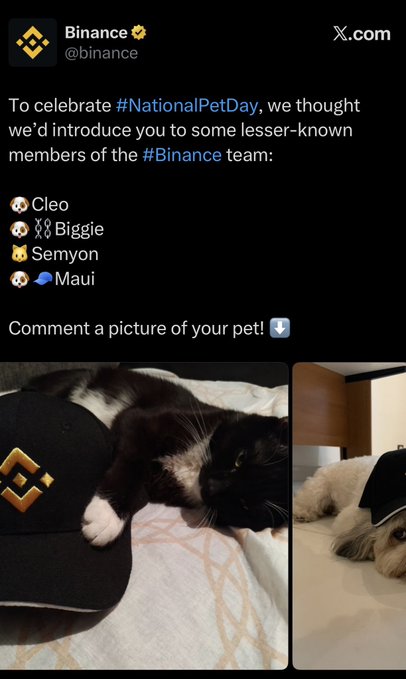 A Binance X.com post celebrating #NationalPetDay introducing lesser-known team pets: Cleo, Biggie, Semyon, and Maui, featuring photos of a cat and dog with Binance-branded caps.