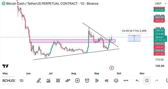 A TradingView candlestick chart shows the Bitcoin Cash / TetherUS PERPETUAL CONTRACT (BCHUSDT) on Binance, displaying price consolidation within a symmetrical triangle pattern and a highlighted horizontal support zone.