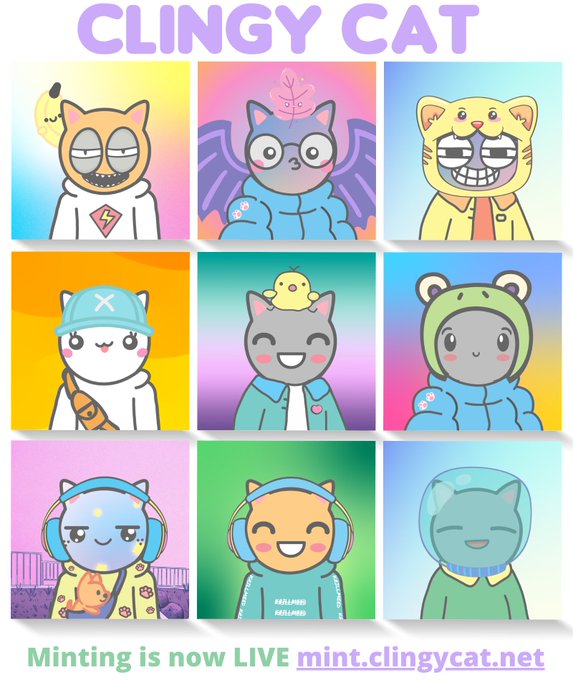Promotional graphic for 'Clingy Cat' NFT minting, displaying a 3x3 grid of nine cartoon cat characters and the text 'Minting is now LIVE mint.clingycat.net'.