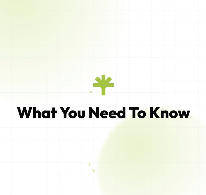 A minimalist graphic on a pale green grid background featuring a stylized green asterisk/flower icon above the bold black text "What You Need To Know".