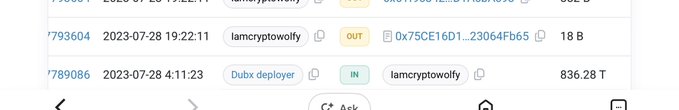 A cryptocurrency transaction log showing an incoming transfer of 836.28 T tokens to the address 'iamcryptowolfy' labeled 'Dubx deployer' on 2023-07-28.