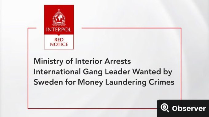 News graphic showing an Interpol Red Notice with the headline 'Ministry of Interior Arrests International Gang Leader Wanted by Sweden for Money Laundering Crimes', with an Observer logo.