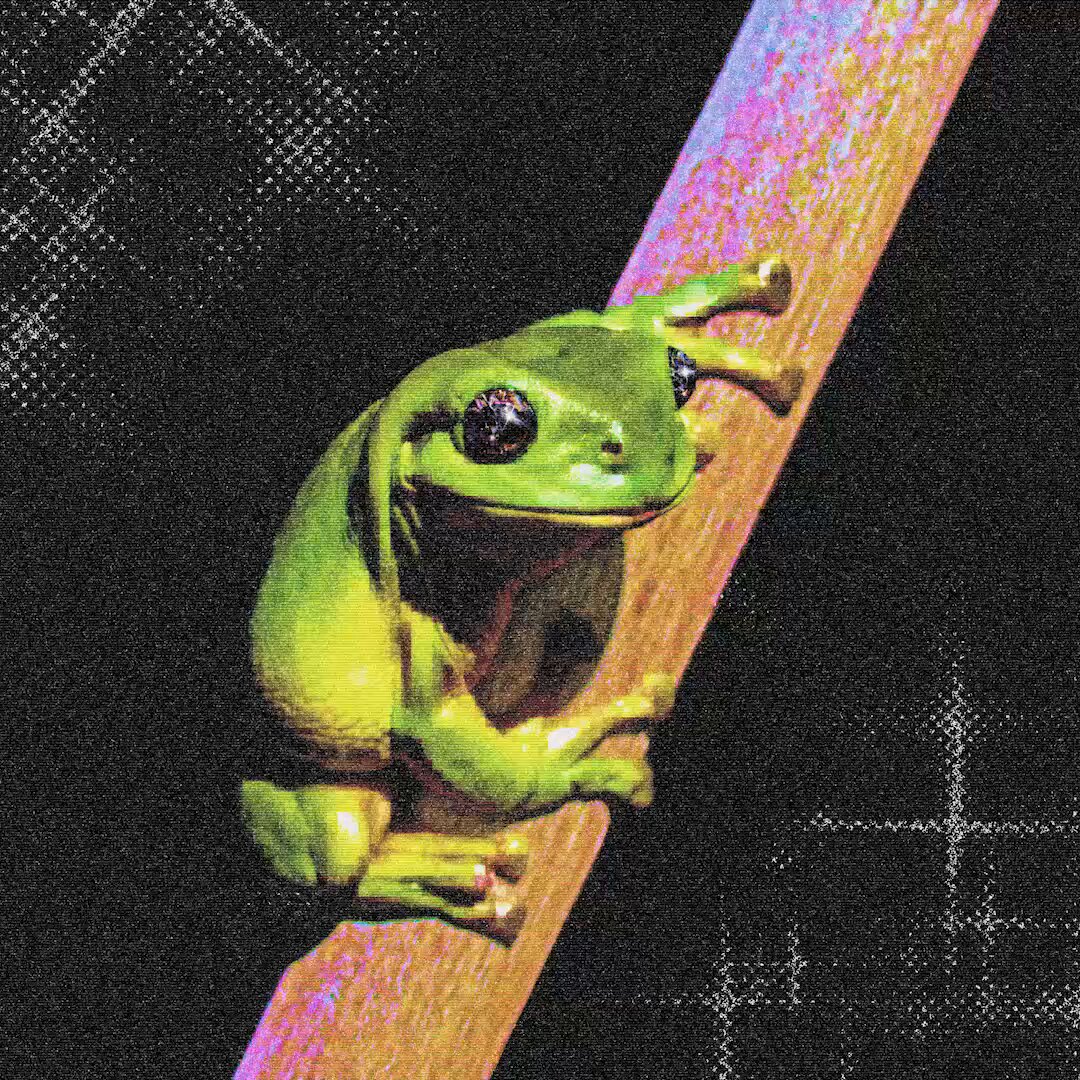 The image features a green frog sitting on a wooden stick, with its front legs hanging off of one end of the stick. The background consists of a black and white patterned design that appears to be a grid-like structure or a crosshatch pattern. The caption reads "fr0̷g_007 available for private sale. dm for fr0̷g.", which suggests that this frog is being sold privately on the internet.