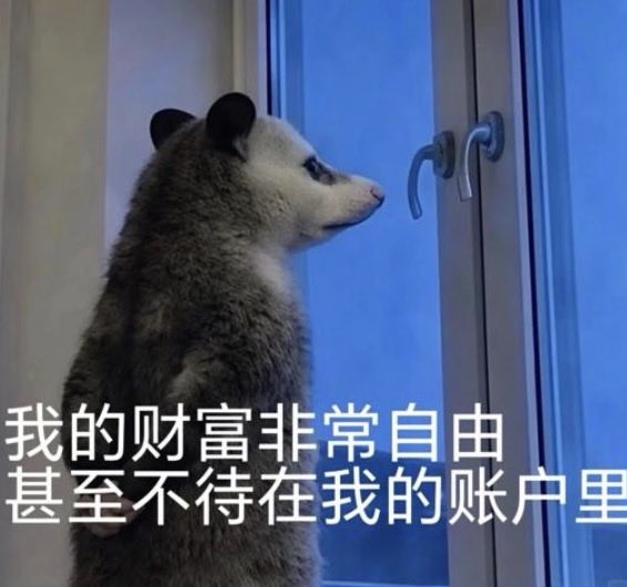 A possum gazes longingly out a window at dusk, accompanied by Chinese text reading "我的财富非常自由 甚至不待在我的账户里" ("My wealth is so free that it doesn't even stay in my account"). The image humorously relates to the post's theme of missed financial opportunities, with the possum staring outside as if watching others' success (like the family profiting on Kuku) pass it by.