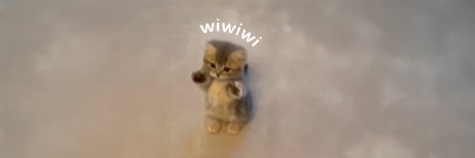 A small gray kitten stands on its hind legs against a cloudy sky background, with the text "wiwiwi" displayed in playful white lettering above it—fitting as a whimsical banner for the Solana token $wiwiwi.