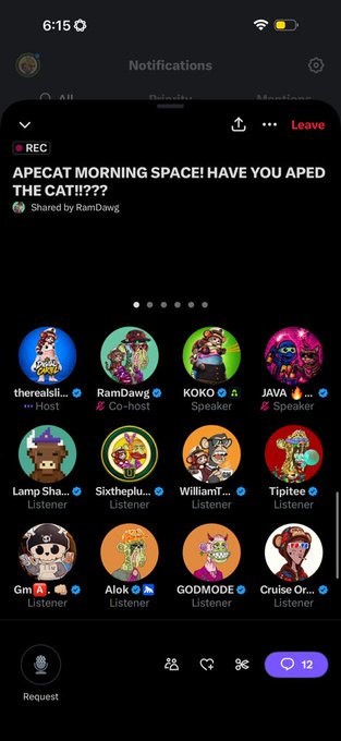 A mobile app screenshot showing a voice chat room with the title 'APECAT MORNING SPACE! HAVE YOU APED THE CAT!!!???' shared by RamDawg, displaying cartoon avatars of users like therealsl, KOKO, JAVA, and Lamp Sha.