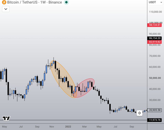 A weekly Bitcoin/TetherUS (BTC/USDT) candlestick chart on Binance from May 2021 to September 2022, showing a significant price decline from approximately $69,000 to $20,905.58, with two highlighted oval regions marking notable market patterns during the 2022 downtrend.