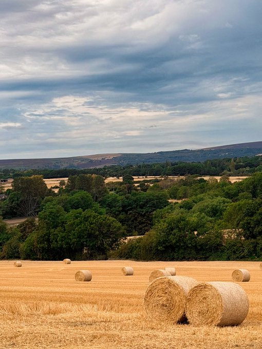 A pastoral landscape photograph shows a harvested golden wheat field dotted with round hay bales, backed by green trees and distant rolling hills under a cloudy sky.