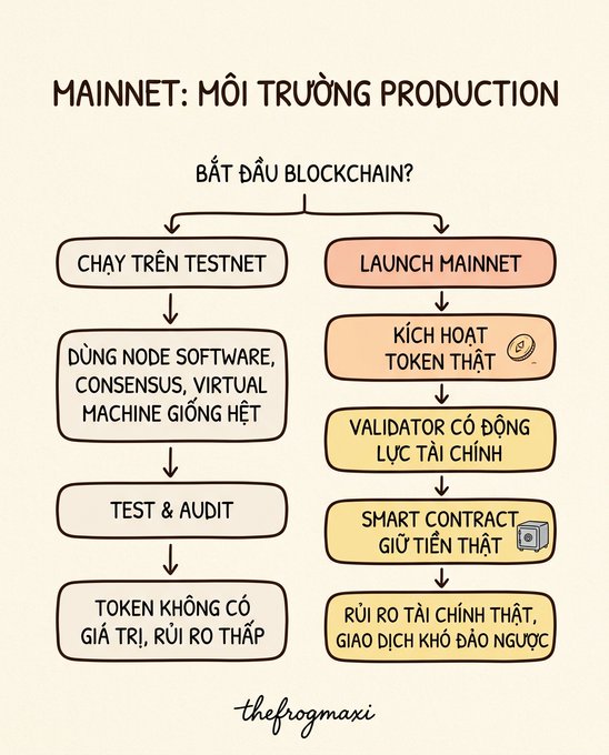 A flowchart titled 'MAINNET: MÔI TRƯỜNG PRODUCTION' from 'thefrogmaxi' explaining the differences between running a blockchain on Testnet versus launching a Mainnet, covering nodes, audits, tokens, validators, and smart contracts.