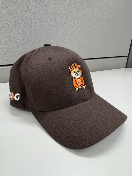 A black cap featuring a small embroidered cartoon dog wearing an orange hoodie.