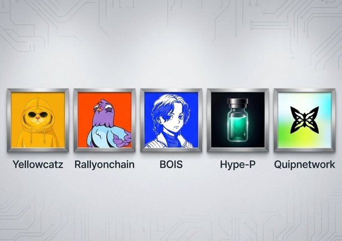 A digital graphic displaying five NFT-style profile icons labeled 'Yellowcatz', 'Rallyonchain', 'BOIS', 'Hype-P', and 'Quipnetwork' on a tech-patterned background.