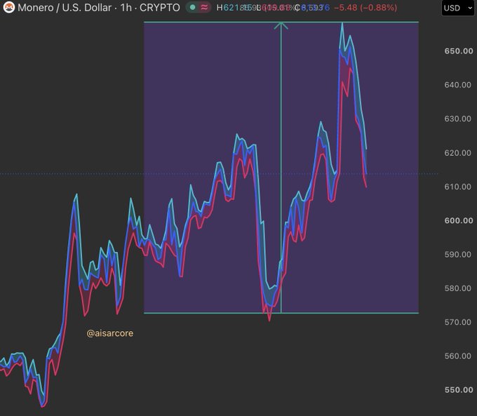 A crypto chart for “Monero / U.S. Dollar · 1h · CRYPTO” shows blue and red price lines, with the header showing “H621.850 - $615.010, -5.539, -5.48% (-0.88%).”