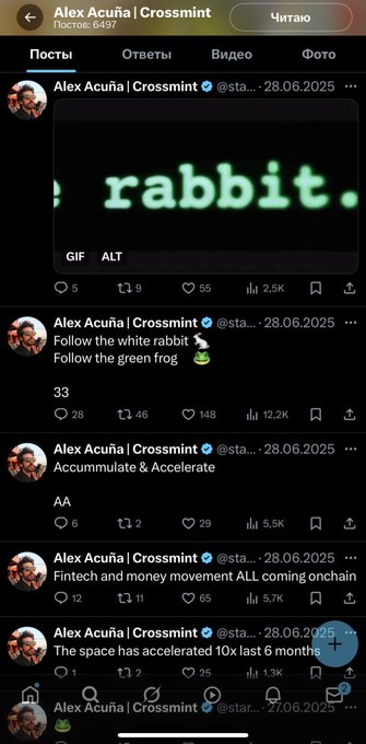 The image shows a series of cryptic Twitter/X posts by Alex Acuña (Crossmint), dated June 28, 2025, including a GIF displaying the word "rabbit" and the message "Follow the white rabbit, Follow the green frog, 33," which ties into the $WALLET deployer address ending in "aa33."
