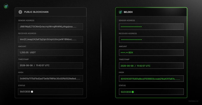 A blockchain transaction interface showing a successful transfer of 1,250.05 USDT from a public blockchain to the Beldex network, both dated 2026-06-08 at 11:42:07 UTC, with masked addresses.