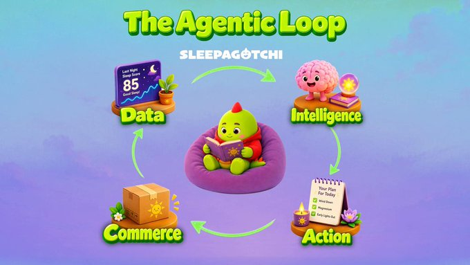 A pastel-colored infographic titled 'The Agentic Loop' by SLEEPAGOTCHI showing a circular flow diagram connecting Data, Intelligence, Action, and Commerce around a central dragon character reading a book.