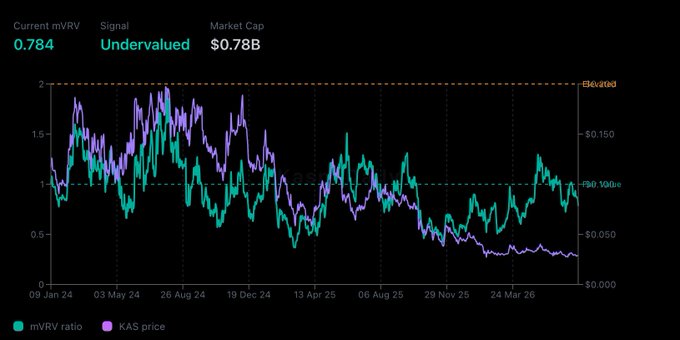 The image displays a chart tracking Kaspa's (KAS) Market Value to Realized Value (mVRV) ratio over time, with the current mVRV at 0.784 marked as "Undervalued" alongside a $0.7B market cap. The mVRV ratio line (teal) hovers below the fair-value line of 1.0, while the KAS price (purple) trends downward to around $0.030-$0.050, visually confirming the post's claim that average KAS holders are currently underwater on their cost basis.