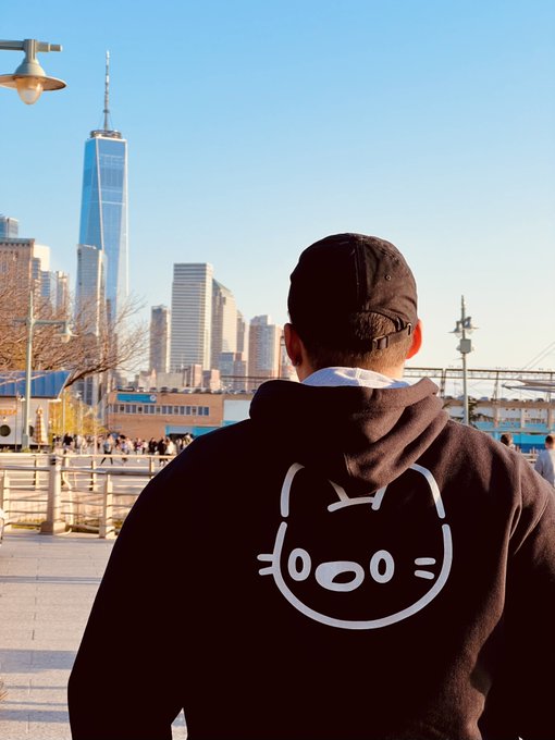 A person wearing a black hoodie with a simple cartoon face design and a cap stands facing the Lower Manhattan skyline, with One World Trade Center prominent in the background, as the caption humorously longs to return to the early, carefree days of NFT investing before learning to "DYOR."