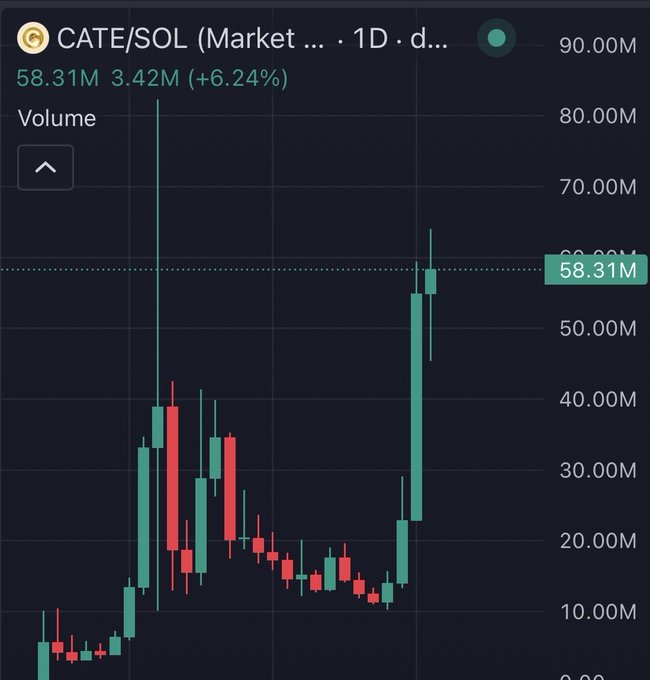 A candlestick chart for CATE/SOL on a 1D timeframe shows the token's volume rising to 58.31M, with a recent gain of 3.42M (+6.24%), illustrating the recovery mentioned in the post. The chart visually supports the optimistic tone, displaying a strong upward move after a period of lower consolidation, reflecting the "higher" price action referenced.