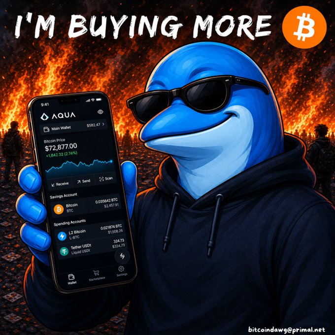 A cool blue dolphin wearing sunglasses and a black hoodie holds up a smartphone displaying the Aqua wallet app showing Bitcoin at $72,877.00 with a +1,862.32 (+2.74%) gain, with the bold text "I'M BUYING MORE" and a Bitcoin logo above, set against a fiery background—visually reinforcing the post's message of doubling down on Bitcoin purchases despite the rising market.