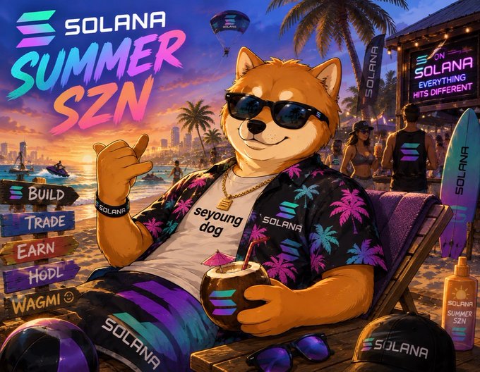 An illustrated 'Solana Summer SZN' promo features a Shiba Inu dog in sunglasses and a Hawaiian shirt lounging on a beach with a coconut drink.