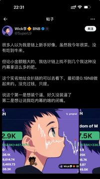 The image shows a social media post by user "Wick李 🥮BNB" (@SuperLG) discussing BNB-themed strategies, mentioning a "ginseng diamond address" that started with 0.1BNB and grew, while displaying two meme-style images featuring the anime character Yoru from Chainsaw Man overlaid on what appears to be crypto trading charts.