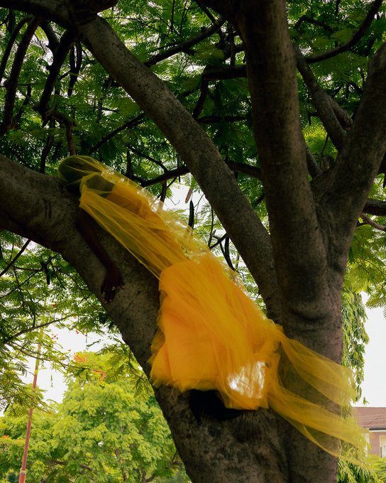 A vibrant yellow tulle or mesh fabric is draped and tangled among the dark branches of a tree, contrasting against the green leaves and bright sky in the background.