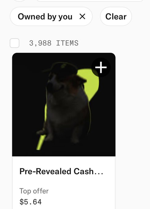 A mobile marketplace interface shows a filter for "Owned by you" with 3,988 items and a "Pre-Revealed Cash..." dog NFT listing (a dog wearing a cap with a yellow glow) valued at a top offer of $5.64. The listing connects to Kishi's whitelist launch opportunity, featuring the leg-themed dog artwork meant to "run" in the upcoming mint event.
