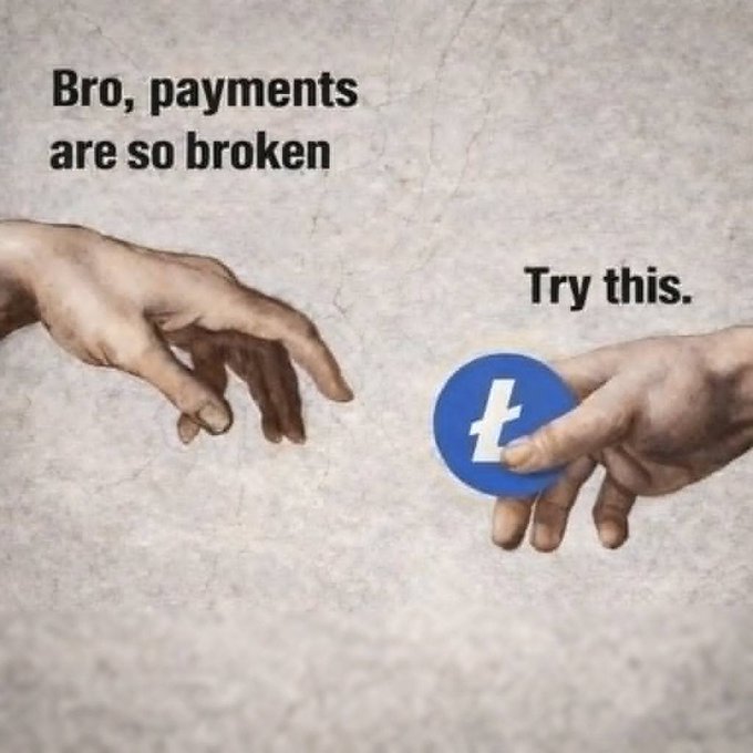 The image features a hand holding a blue coin with a white "LTC" symbol on it. The text above the coin reads "Bro, payments are so broken Try this." Below the coin, there's another hand holding a blue coin as well. Both hands have their fingers extended outwards.