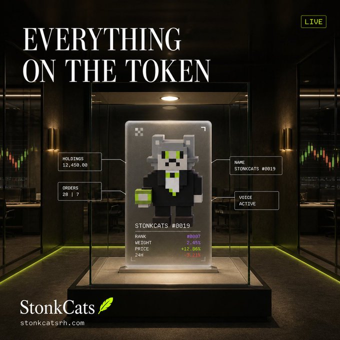 A StonkCats promotional image featuring a pixel art cat character (#0019) displayed in a glass case, with text 'EVERYTHING ON THE TOKEN' and 'stonkcatsrh.com'.