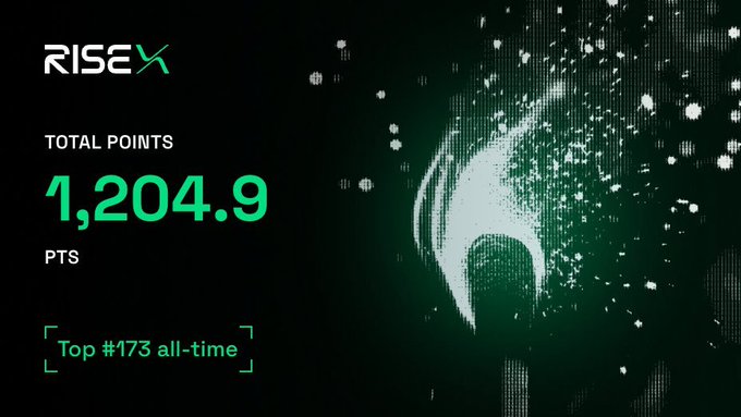 RISEX platform dashboard showing 'TOTAL POINTS 1,204.9 PTS' and 'Top #173 all-time' with a green dragon/serpent graphic.