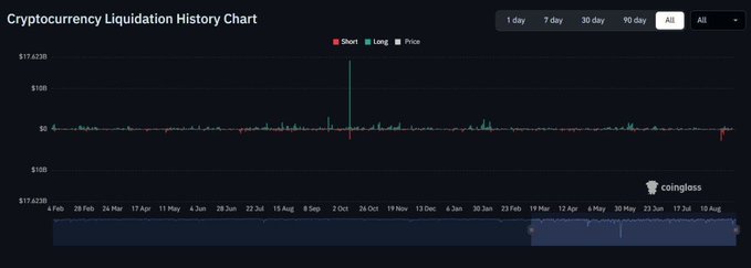 A 'Cryptocurrency Liquidation History Chart' from Coinglass showing short, long, and price data across a timeline from February to August.