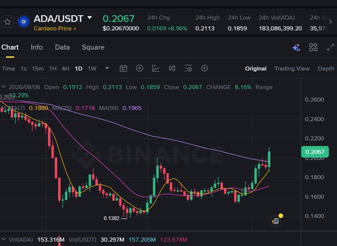 A Binance candlestick chart shows ADA/USDT trading at $0.2067, up 8.96% in 24 hours, after bouncing from a low of $0.1859 toward the $0.20 psychological level. The chart visually supports the post's claim of ADA hitting the $0.20 bottom and forming a potential reversal, with a recent green candle pushing price back above key moving averages (MA(7) 0.1880, MA(25) 0.1718, MA(99) 0.1965).