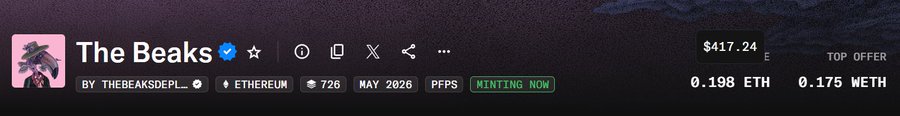 The image shows a long, horizontal banner with text that reads "The Beaks nfts 0.03E> 0.2E congratulating all winners big cook 6.6x 0.5E is fud?". The banner is displayed on a gray background and has a green border around it.