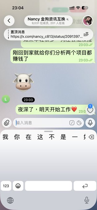 A WeChat conversation in Chinese between users, with messages including a link from "Nancy 金狗狗资讯互换" and replies such as "刚回到家就给你们分析两个项目都赚钱了" and "夜深了，明天开始工作", sent late at night (23:04).