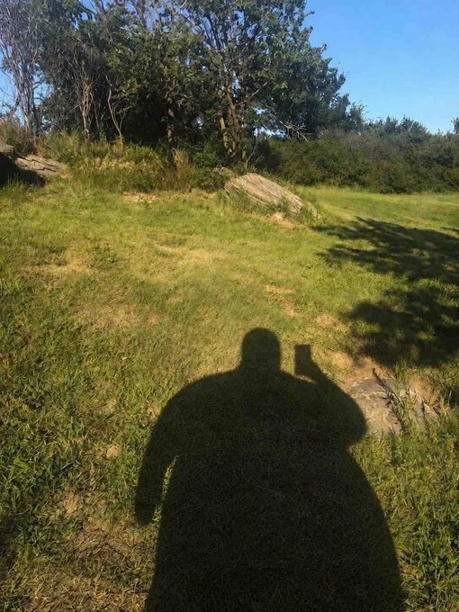 A person's shadow is cast on a grassy field as they take a photo with their phone, with trees and rocks visible in the background—capturing their attempt to "touch grass" and reset after losses in the memecoin market.