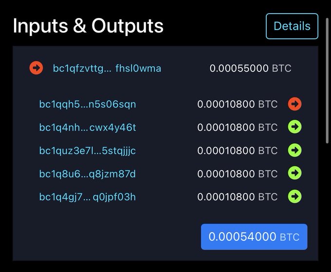 A cryptocurrency transaction interface titled 'Inputs & Outputs' displaying several Bitcoin addresses with corresponding BTC amounts, including a highlighted output of 0.00054000 BTC and inputs of 0.00055000 BTC and multiple 0.00010800 BTC entries.