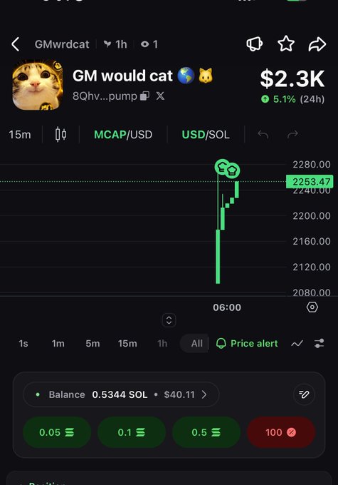 A crypto chart showing a token called 'GM would cat' with a market cap of $2.3K, displaying a sudden price spike and a balance of 0.5344 SOL.