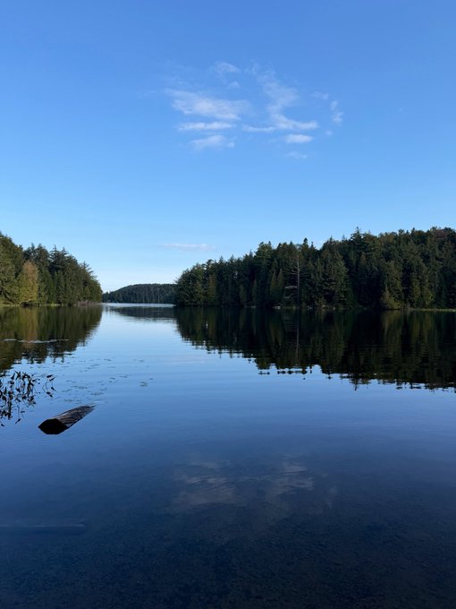 A serene lake surrounded by dense evergreen forest under a clear blue sky with light clouds, the water reflecting the trees.