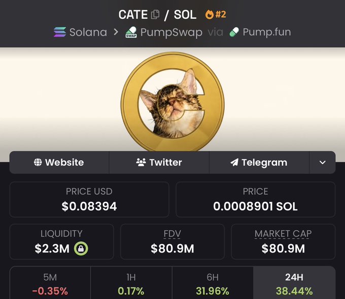 A screenshot of the $CATE/SOL token page on Solana via PumpSwap, showing a price of $0.08394, market cap of $80.9M, and 24H gains of 38.44%, with a gold coin featuring a cat image—visually backing the post's claim that $CATE has a strong community poised for even higher growth.
