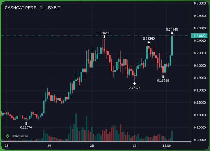 CASHCAT PERP price chart on BYBIT showing 1-hour candles ranging from $0.11070 to $0.24840, currently trading at $0.24822, illustrating the token's strong upward momentum that supports the post's argument against declaring it has already peaked at a $200M market cap.
