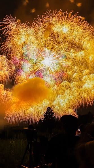 A large, colorful fireworks display with bright yellow and green bursts explodes in the night sky above a silhouetted landscape with spectators watching.