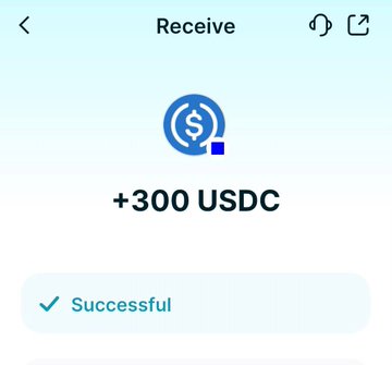 A mobile app confirmation showing a successful receipt of "+300 USDC" with a "Successful" status. The image visually validates the post's claim about receiving a 300 USDC payout from @EthraShip, serving as on-screen proof of the author's earnings from writing about a real-world asset shipping project.