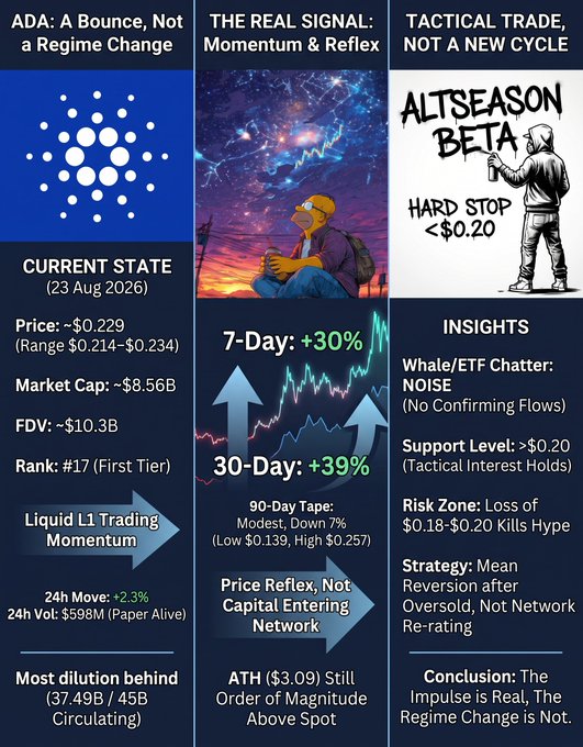 A crypto analysis infographic titled 'ADA: A Bounce, Not a Regime Change' dated 23 Aug 2026, showing price ~$0.229, market cap ~$8.56B, 7-day +30%, 30-day +39%, and a section labeled 'ALTSEASON BETA' noting 'HARD STOP <$0.20'.