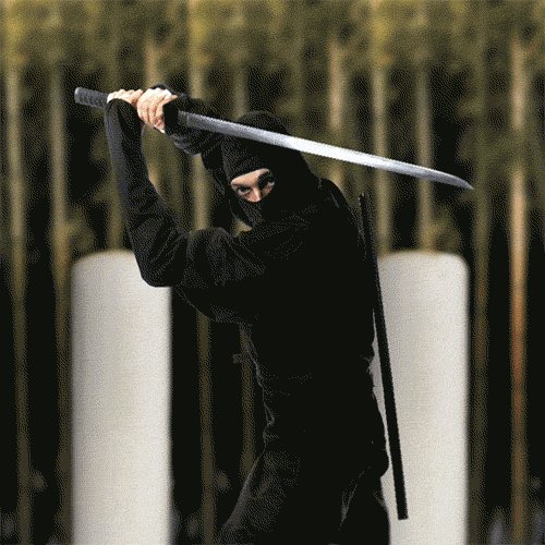 The image shows a man dressed as a ninja holding a sword with both hands while wearing a black outfit, possibly a full-body costume or a bodysuit. The background features trees, suggesting an outdoor setting. The caption of the image reads "Within 24 hours of ADOG's launch, the trading volume reached 420,000. We distributed 14,300 #ASTER tokens to holders and burned 55 million tokens! We remain resilient." This implies that the man in the image is a ninja who has just completed his mission or task within 24 hours after the release of the trading token. The caption emphasizes the resilience and determination of the ninja as he carries out his duties.