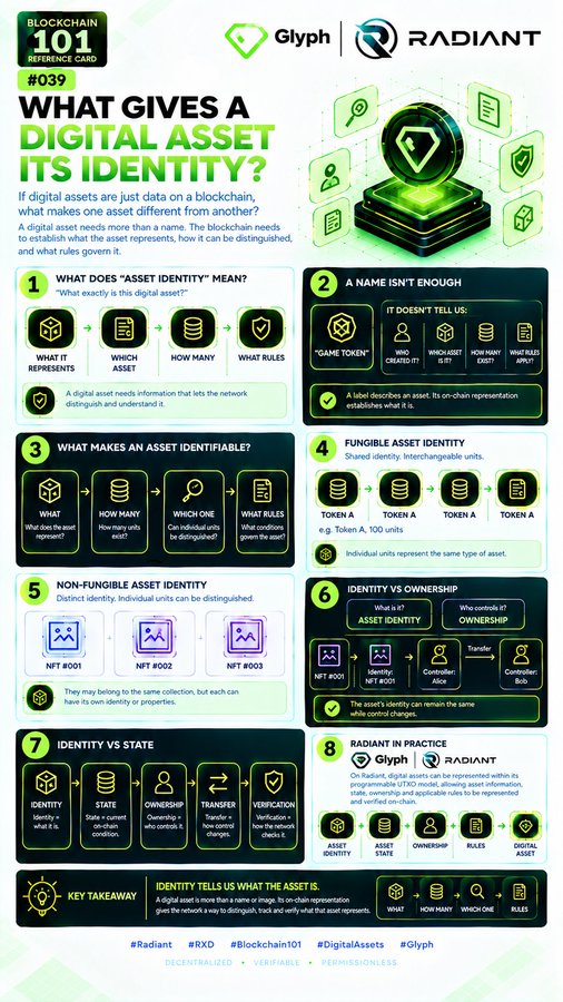 Blockchain 101 Reference Card #039 titled 'What Gives a Digital Asset Its Identity?' from Glyph and Radiant, explaining asset identity, fungibility, ownership, and state with detailed diagrams.