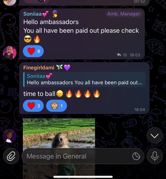 A Telegram chat screenshot showing messages from 'Soniiiaa' (Amb. Manager) and 'Finegirldami' notifying ambassadors about payouts, with users reacting with emojis.